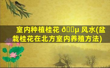 室内种植桂花 🌵 风水(盆栽桂花在北方室内养殖方法)